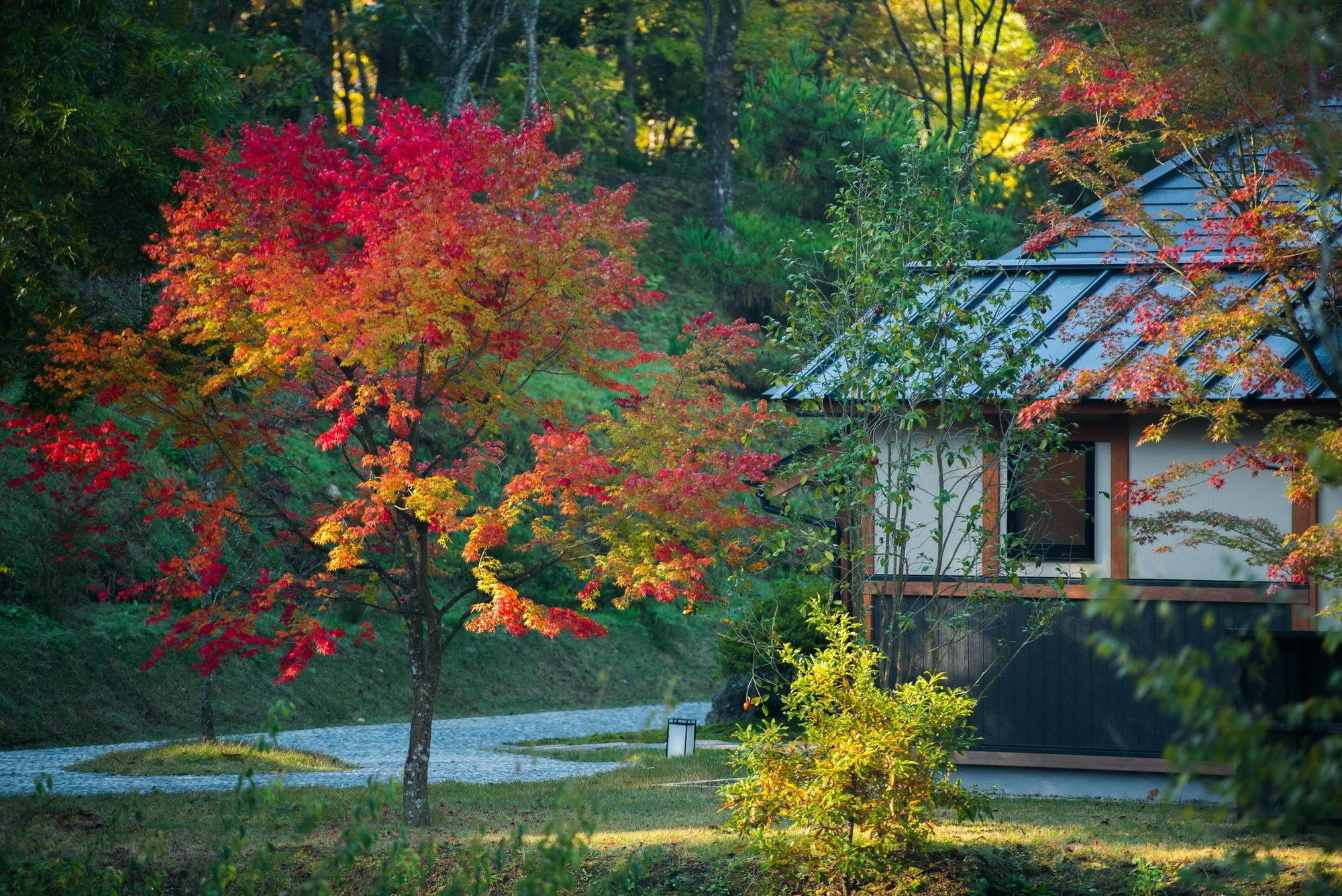 Miyama Sansou Hotel Minamioguni Bagian luar foto