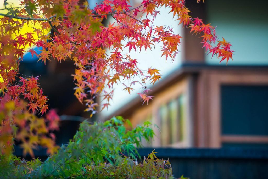 Miyama Sansou Hotel Minamioguni Bagian luar foto